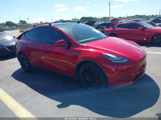 2021 TESLA MODEL Y 5YJYGDEE7MF141276 Photo 0