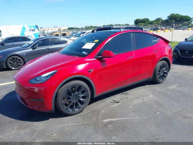 2021 TESLA MODEL Y 5YJYGDEE7MF141276 Photo 1