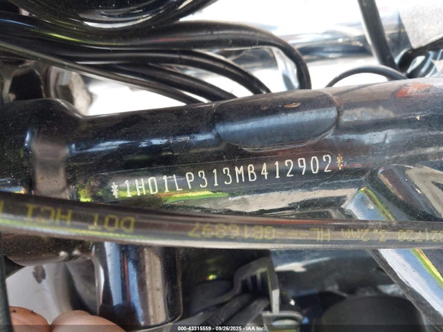 1HD1LP313MB412902 Harley-Davidson Xl1200 Ns