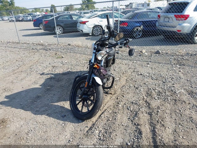1HD1LP313MB412902 Harley-Davidson Xl1200 Ns
