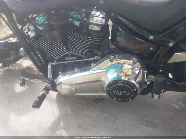 1HD1YHK10LB018541 Harley-Davidson 2020
