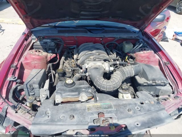 2005 FORD MUSTANG 1ZVFT85H255193483 Photo 9