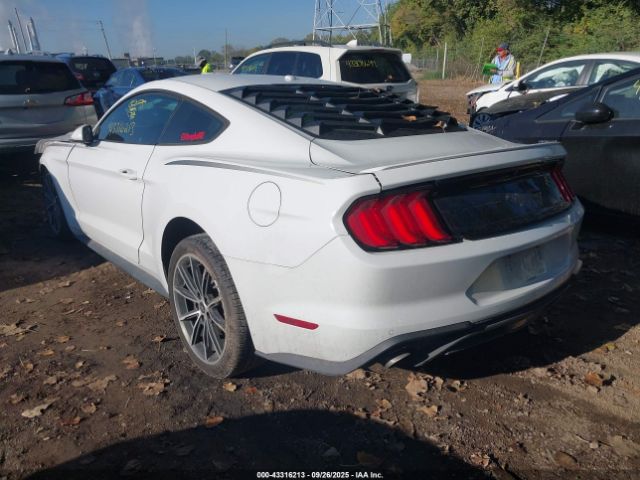 2019 FORD MUSTANG 1FA6P8TH8K5182578 Photo 2