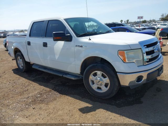 2013 FORD F-150 1FTEW1CMXDKE24692