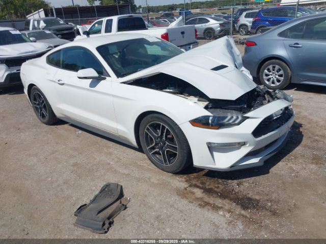 2019 FORD MUSTANG 1FA6P8TH6K5172051