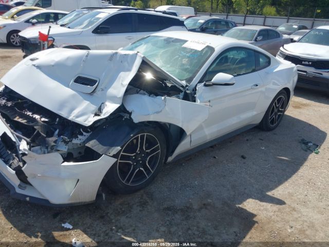 2019 FORD MUSTANG 1FA6P8TH6K5172051 Photo 1