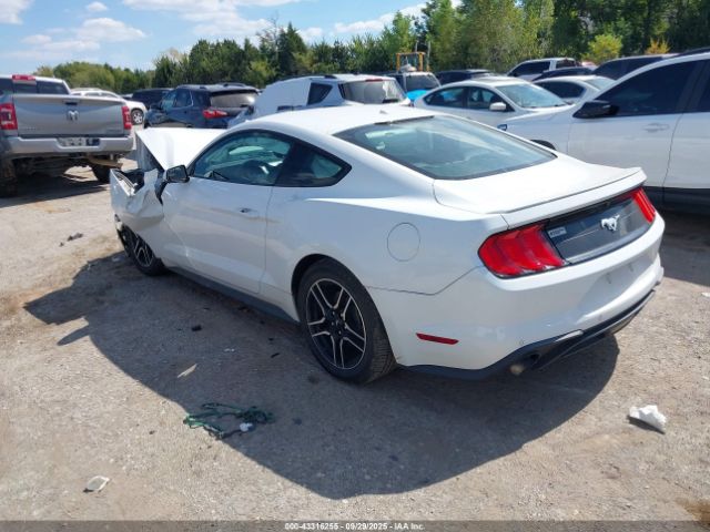2019 FORD MUSTANG 1FA6P8TH6K5172051 Photo 2