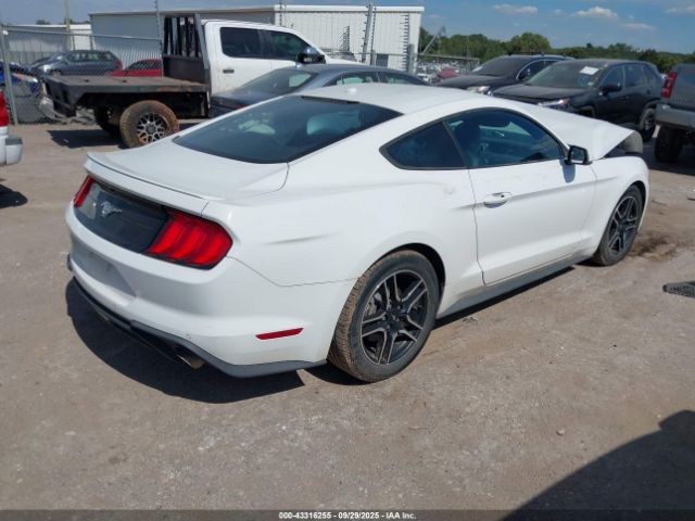 2019 FORD MUSTANG 1FA6P8TH6K5172051 Photo 3