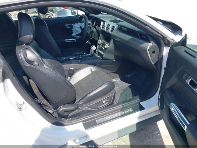 2019 FORD MUSTANG 1FA6P8TH6K5172051 Photo 4