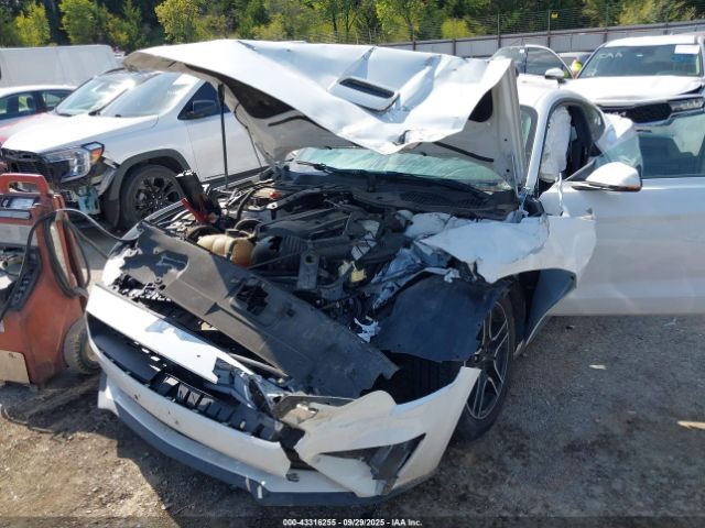 2019 FORD MUSTANG 1FA6P8TH6K5172051 Photo 5