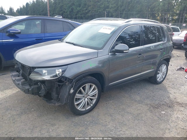 WVGBV7AXXFW505172 Volkswagen 2015