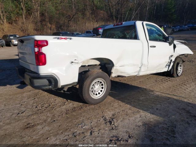 2025 CHEVROLET SILVERADO 1500 3GCNKAEK4SG316418 Photo 3