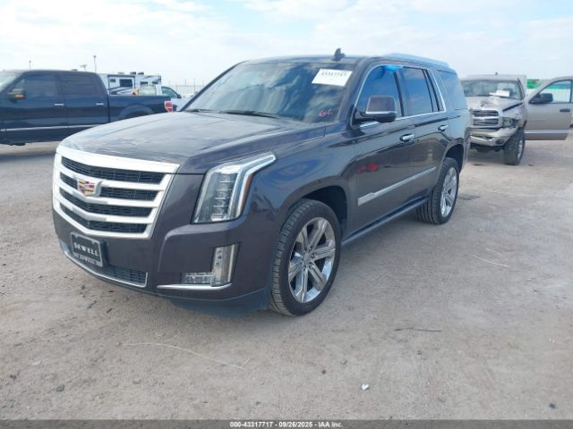2016 CADILLAC ESCALADE 1GYS4CKJ8GR250963 Photo 1