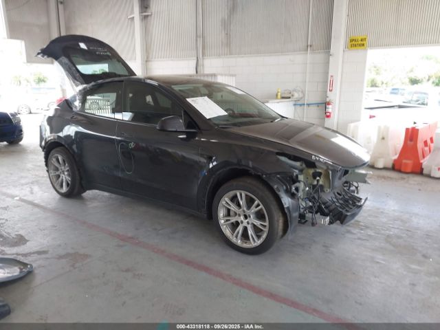 2024 TESLA MODEL Y 7SAYGDED6RF042482 Photo 0