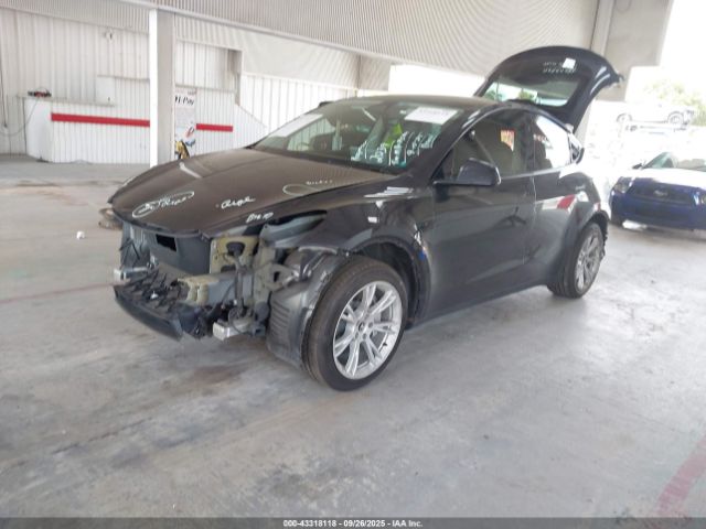 2024 TESLA MODEL Y 7SAYGDED6RF042482 Photo 1