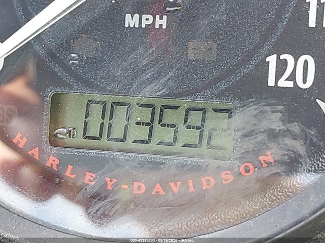 2021 HARLEY-DAVIDSON XL883 1HD4LE211MB405806 Photo 6