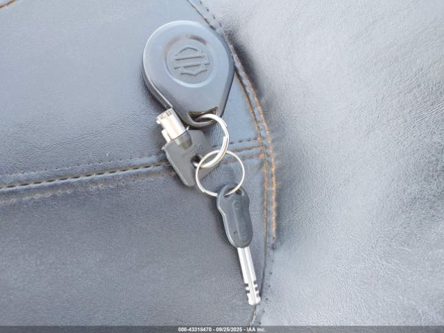 2007 HARLEY-DAVIDSON FLSTN 1HD1JD51X7Y058234 Photo 10