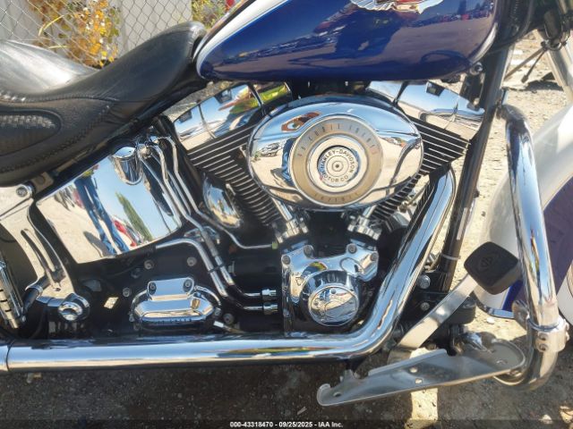 2007 HARLEY-DAVIDSON FLSTN 1HD1JD51X7Y058234 Photo 7