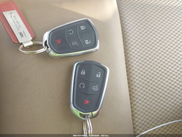 2020 CADILLAC XT4 1GYFZER45LF112081 Photo 10