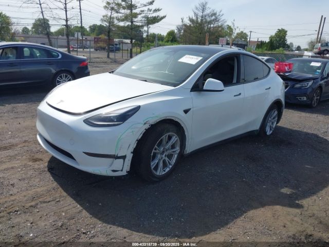 2023 TESLA MODEL Y 7SAYGAEEXPF759410 Photo 1