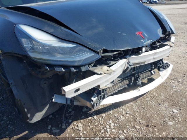 2020 TESLA MODEL 3 5YJ3E1EC5LF641674 Photo 5