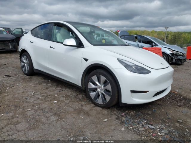 2023 TESLA MODEL Y 7SAYGAEE8PF755436 Photo 0