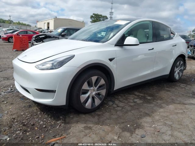 2023 TESLA MODEL Y 7SAYGAEE8PF755436 Photo 1