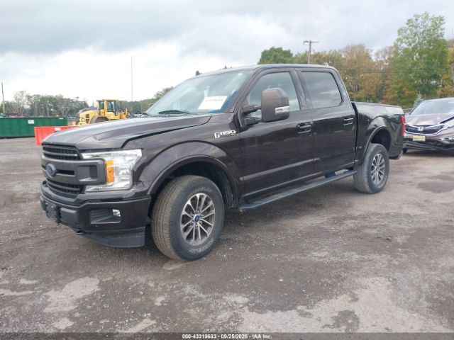 2020 FORD F-150 1FTEW1E54LFB83662 Photo 1