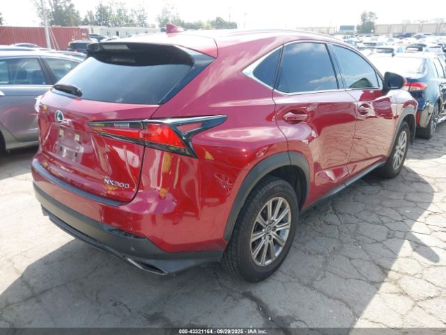2021 LEXUS NX 300 JTJDARBZXM5031082 Photo 3