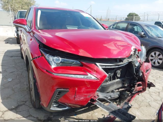 2021 LEXUS NX 300 JTJDARBZXM5031082 Photo 5