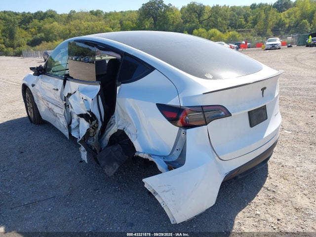 2023 TESLA MODEL Y 7SAYGDEE0PA128650 Photo 2
