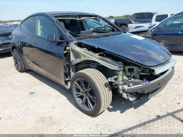 2025 TESLA MODEL Y 7SAYGDED6SA359486 Photo 0