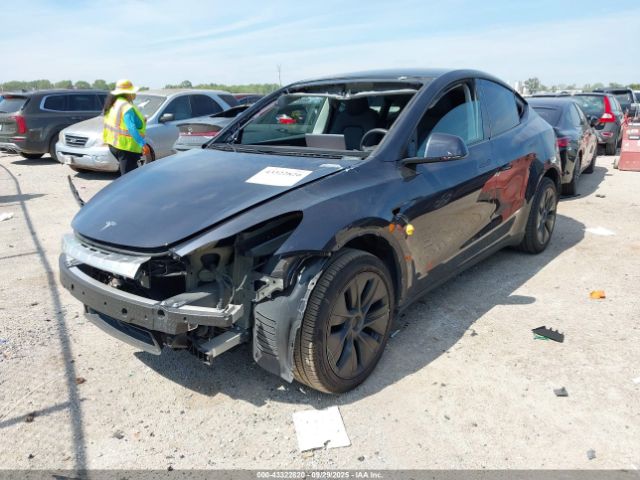 2025 TESLA MODEL Y 7SAYGDED6SA359486 Photo 1