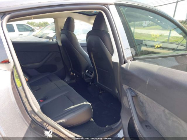 2025 TESLA MODEL Y 7SAYGDED6SA359486 Photo 7