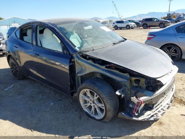 2023 TESLA MODEL Y 7SAYGAEE1PF869892 Photo 0