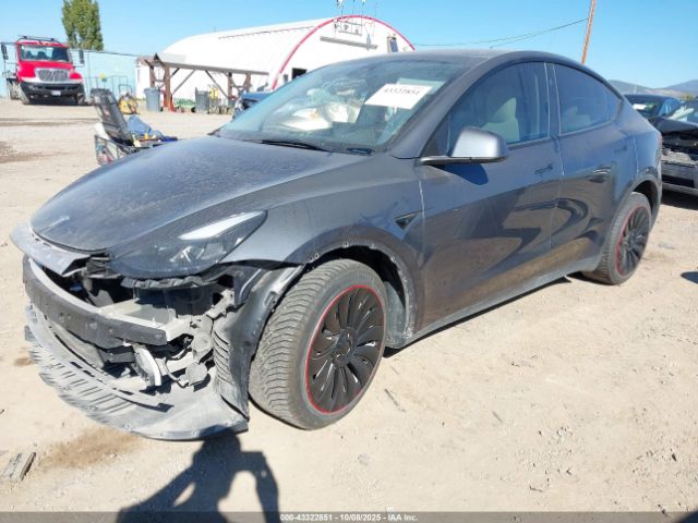 2023 TESLA MODEL Y 7SAYGAEE1PF869892 Photo 1