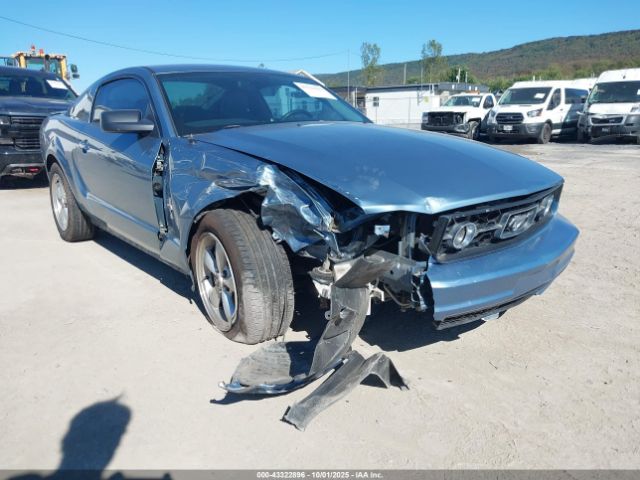 2007 FORD MUSTANG 1ZVHT80N075349612 Photo 5