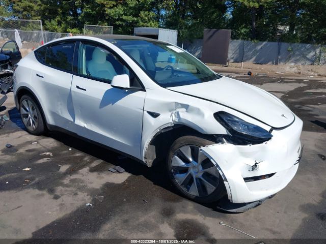 2023 TESLA MODEL Y 7SAYGDEE6PF811889 Photo 0