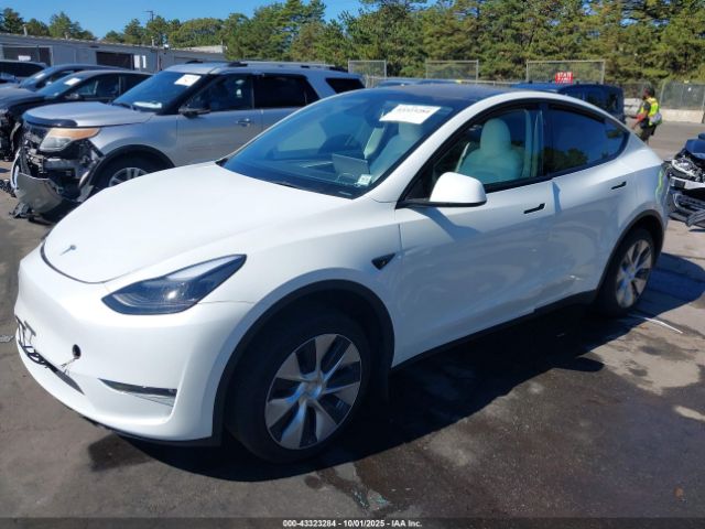 2023 TESLA MODEL Y 7SAYGDEE6PF811889 Photo 1