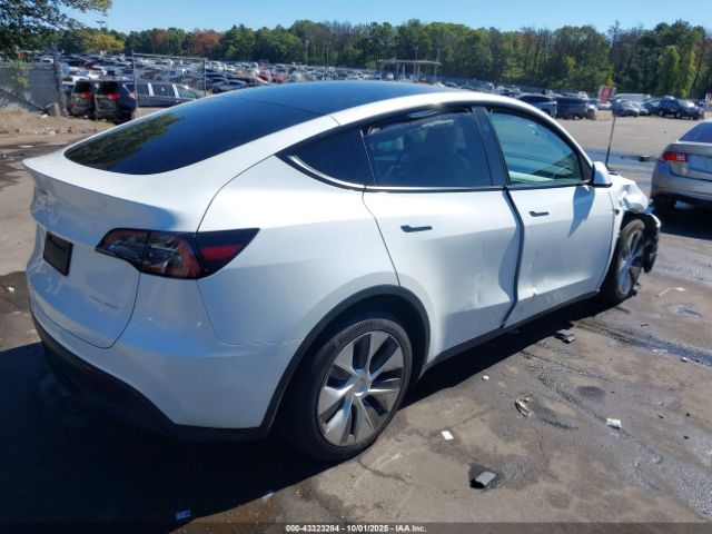 2023 TESLA MODEL Y 7SAYGDEE6PF811889 Photo 3