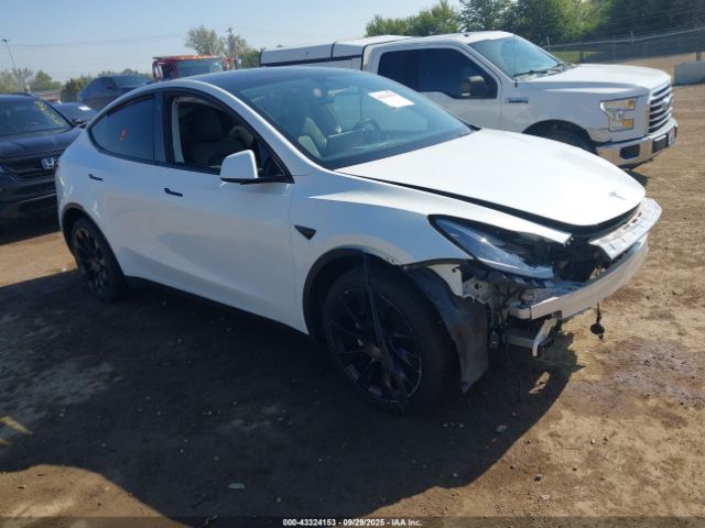 2023 TESLA MODEL Y 7SAYGDEE4PA070722 Photo 0