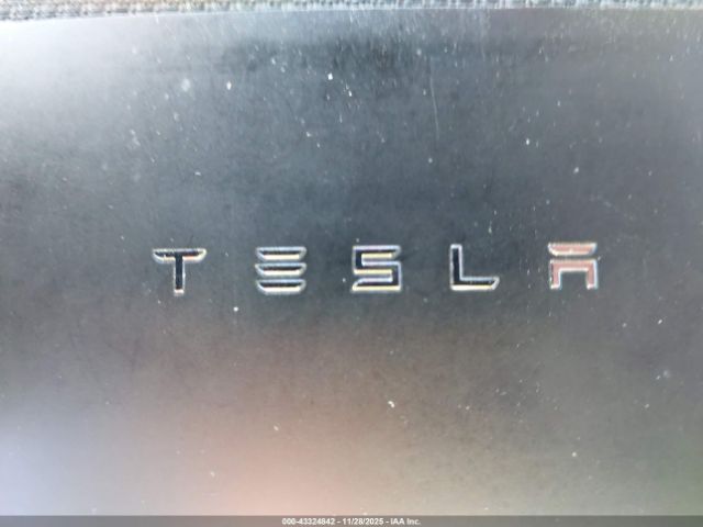 2019 TESLA MODEL 3 5YJ3E1EB3KF487245 Photo 10