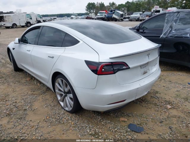 2019 TESLA MODEL 3 5YJ3E1EB3KF487245 Photo 2