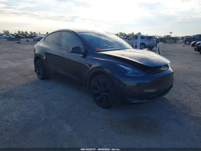 2024 TESLA MODEL Y 7SAYGDED2RF103634 Photo 0