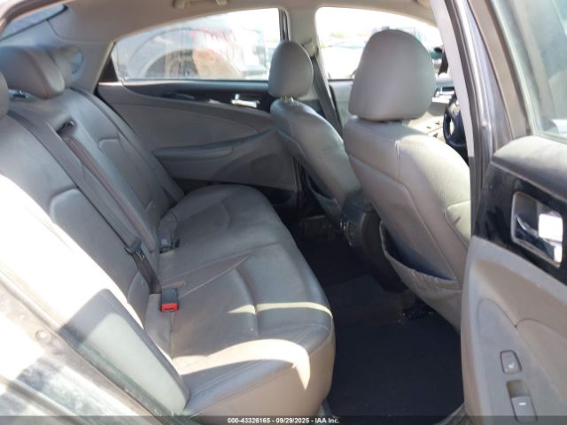 2011 HYUNDAI SONATA 5NPEC4AC5BH081225 Photo 7