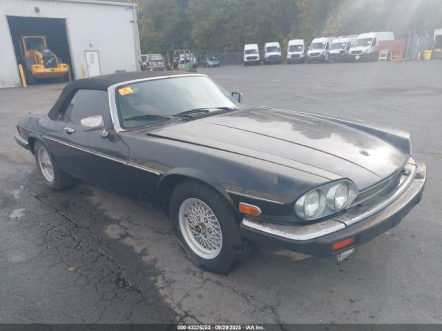 1989 JAGUAR XJS SAJNV4848KC157199