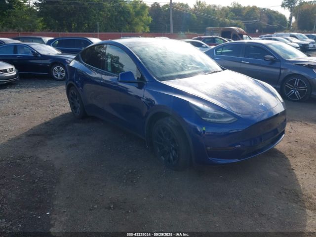 2023 TESLA MODEL Y 7SAYGAEE1PF970785 Photo 0