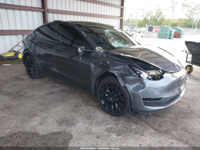 2023 TESLA MODEL Y 7SAYGDEE6PF750494 Photo 0