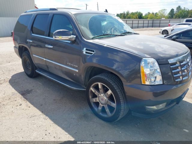 2010 CADILLAC ESCALADE 1GYUKBEF5AR276783