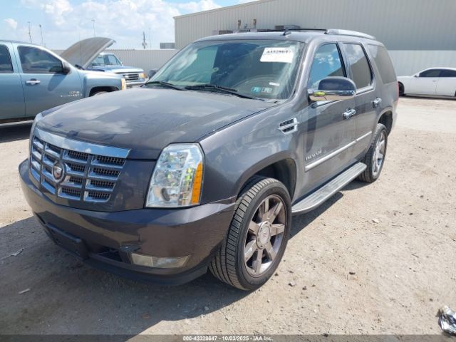 2010 CADILLAC ESCALADE 1GYUKBEF5AR276783 Photo 1